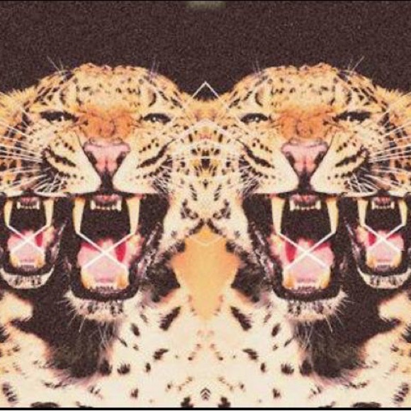 brass_knuckles